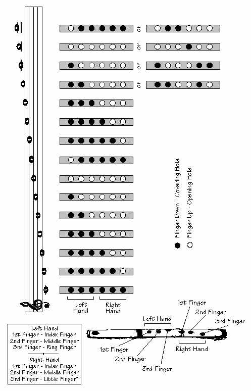 Basic Flute Finger Note Chart